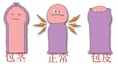 立即咨询 立即预约