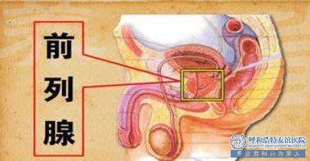 威海前列腺是怎么找上你的